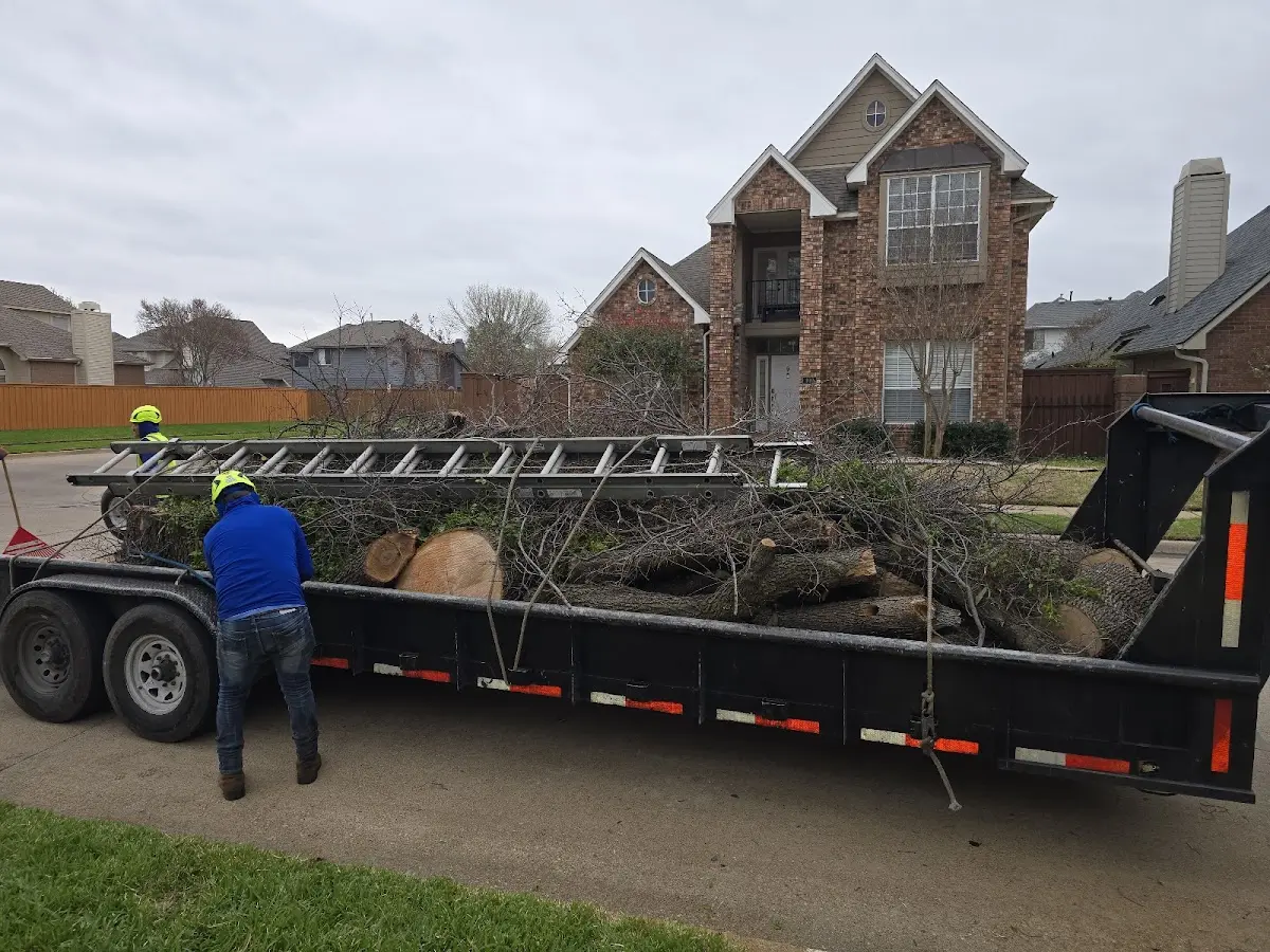 Expert Tree Fertilization with proper safety equipment in Ballouville